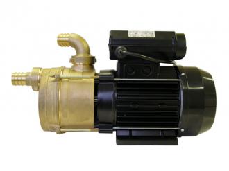 Pompe Calpeda auto-amorçante en laiton 53 l/min